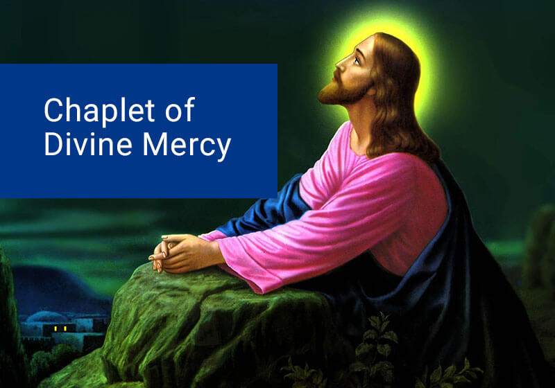 2023-programmes-daily-chaplain-divine-mercy